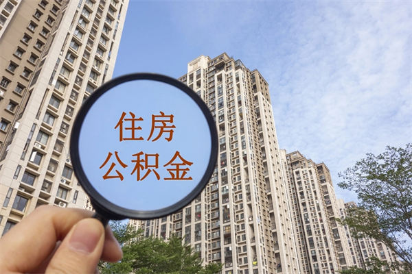 查询我的住房公积金-海丰公积金代办平台